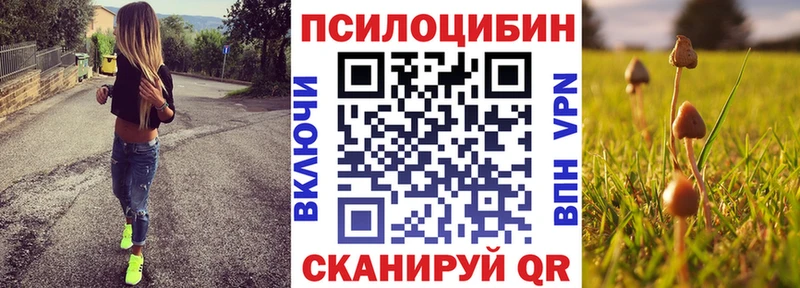 Галлюциногенные грибы Psilocybe  магазин продажи наркотиков  ОМГ ОМГ   Зверево 